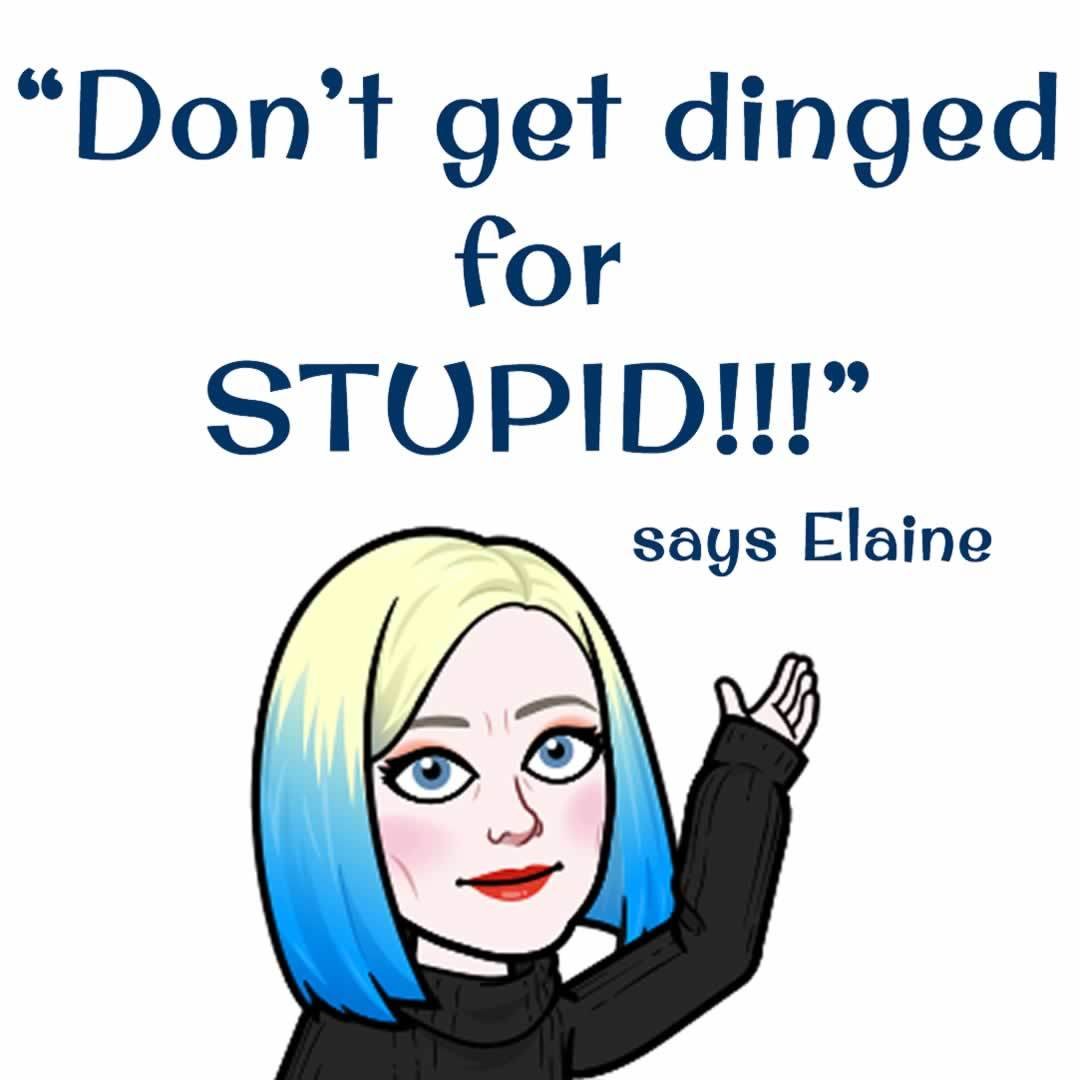 Don't get dinged for STUPID says Elaine the Glammapreneur! Don't get dinged for STUPID says Elaine the Glammapreneur!