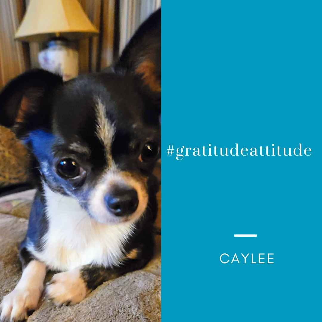 Caylee-#grattitudeattitude_11zon Caylee #gratitudeattitude