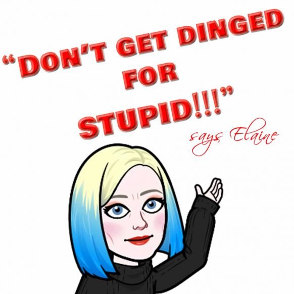 dont-get-dinged-for-stupid-2-elaine-lindsay© dont-get-dinged-for-stupid-2-elaine-lindsay©